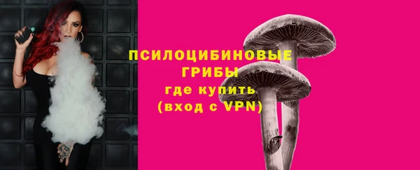 гидра Алексин