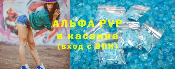 гидра Алексин