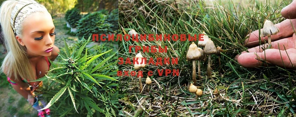 соль курить ск Алзамай