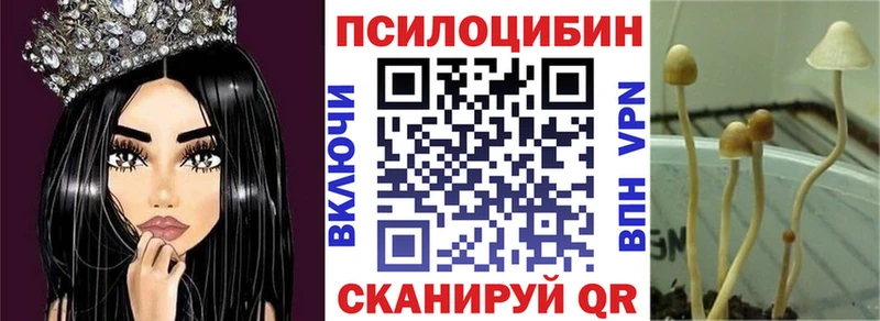 Псилоцибиновые грибы мицелий Раменское